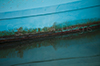 Serie "Nautic" - Indigolith