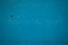 Serie "Pool" - Deep Blue