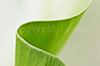 Dynamik der Natur