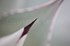 Serie "Kontrast von Geometrie und Farbe" 3